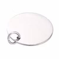 Rostfritt stål hänge rund tag 25 mm, 1 st