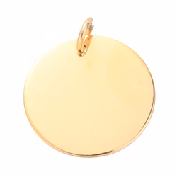 Guldfärgat rostfritt stål hänge rund tag 20 mm PVD, 1 st
