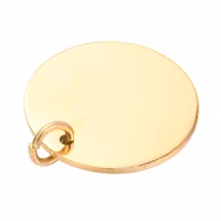 Guldfärgat rostfritt stål hänge rund tag 20 mm PVD, 1 st