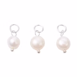 Silverfärgat rostfritt stål berlock sötvatten, 5 st