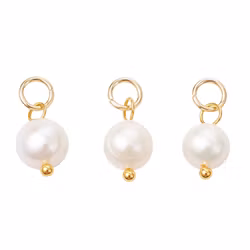 Guldfärgat rostfritt stål berlock sötvatten, 5 st