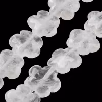 Bergkristall blomma, 1st