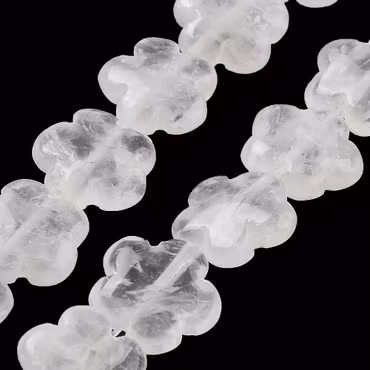 Bergkristall blomma, 1st