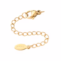 Gold-colored stainless steel extension chain with heart and PVD, 1 pc.