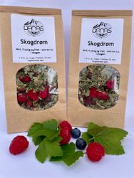 Skogdrøm