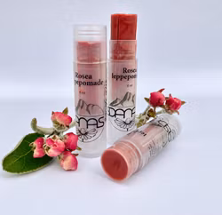 Rosea tonet leppebalm