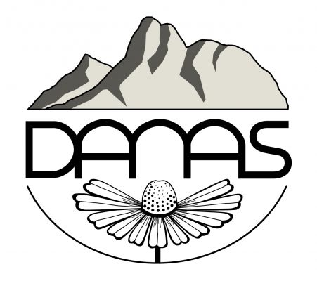 Danas 