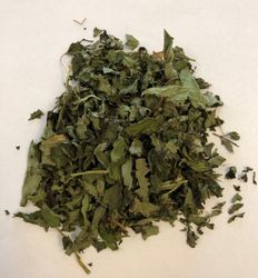 Pepparmynta