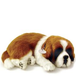 St Bernard