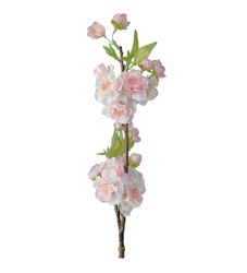 Körsbärsblom rosa 45 cm