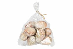 Hängande ägg med hare 10-pack