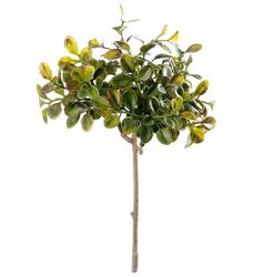 Lingonris kvist 20 cm