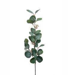 Eucalyptuskvist med bär 70 cm