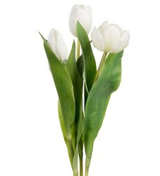 Tulpan 3-pack vit