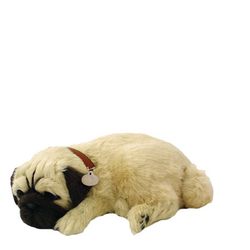 Mops