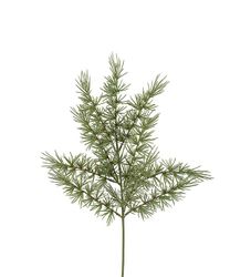 Lärkkvist 60 cm