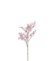 Limoniumkvist 65 cm