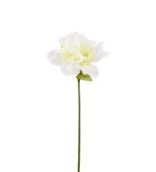 Amaryllis vit 63 cm
