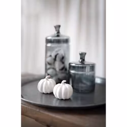 Pumpa Vit