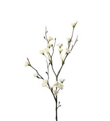 Blomkvist vit 50 cm