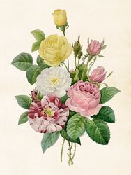 Poster Rosor