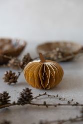 Lundhagen pumpa ljusbrun
