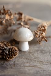 Bovik svamp beige