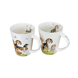 Mugg Hund