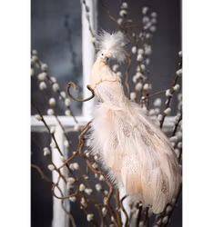 Påfågel Diva med clip