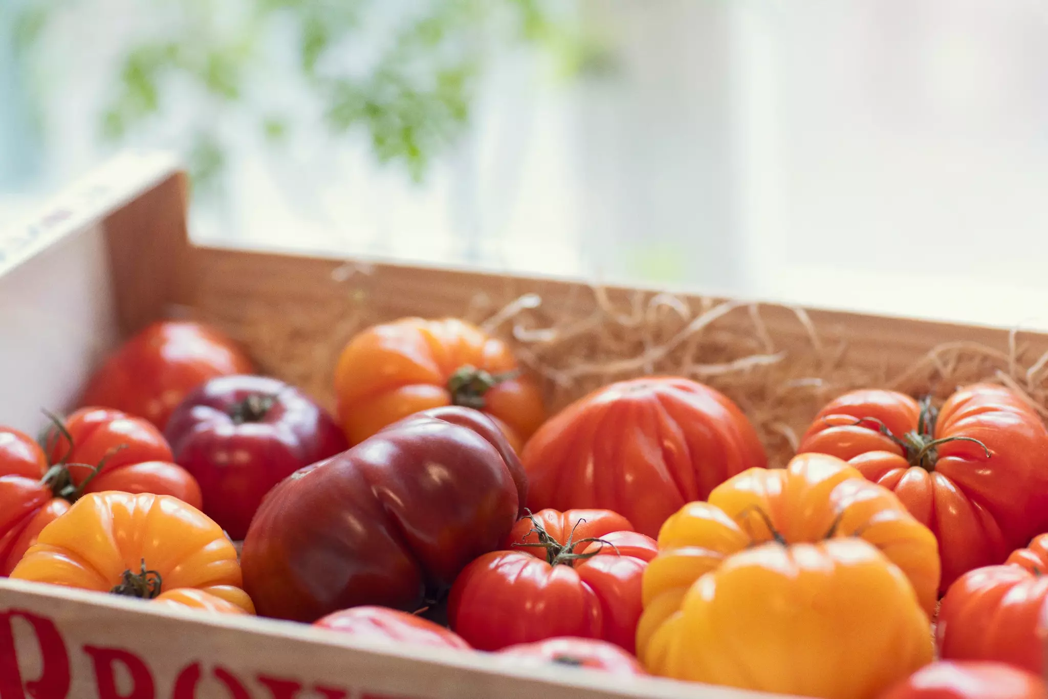 Famiglia Crispino Tomatsås Basilico