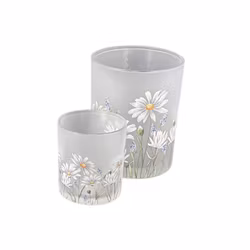 Ljuslykta Prästkrage i 2 storlekar