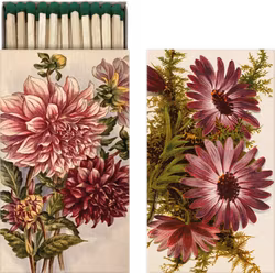 Tändsticksask Dahlia