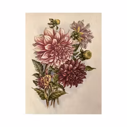 Poster Dahlia