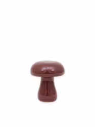 Fenja svamp aubergine