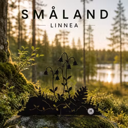 #Älska Plåt Linnea svart