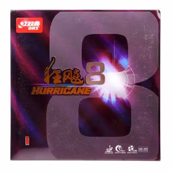 DHS - Hurricane 8