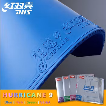 DHS - Hurricane 9