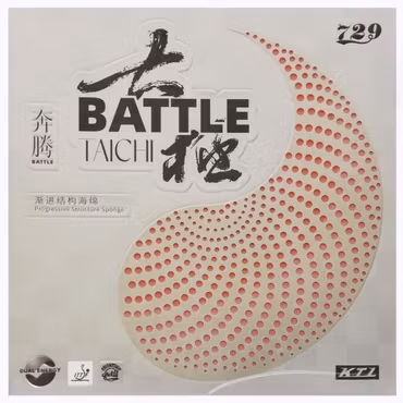 729 - Battle Taichi