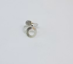 Ringar omlott