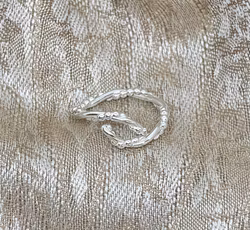 Ring dubbelvirad