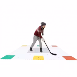 360 ZONE - STICKHANDLING AND FITNESS SURFACE