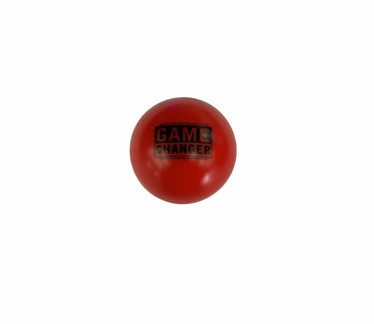 IAMHOCKEY GAME CHANGER - iBall