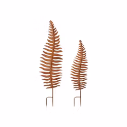 Ormbunksblad, trädgård