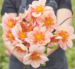 Campus Nature Metier