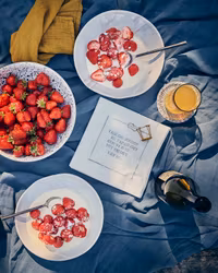 Fröjd, servett