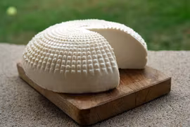 Laktos test - (Norvia 18)