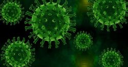 Covid-19 Antikroppstest - (Norvia 25)