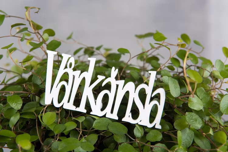 Vårkänsla/Stick Vit 8,5x3cm