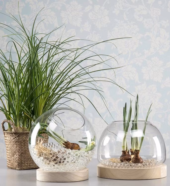 Glasklot lykta/vas/kruka, sned