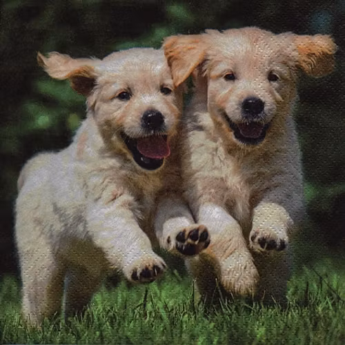 Servett från ti-flair - * Lyckliga valpar* - *Happy Puppies*